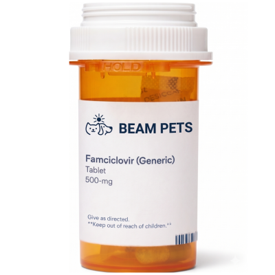 Famciclovir product photo