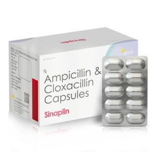 Ampicillin (Acillin) product photo
