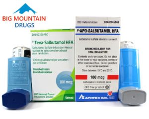 Proventil (Salbutamol) product photo